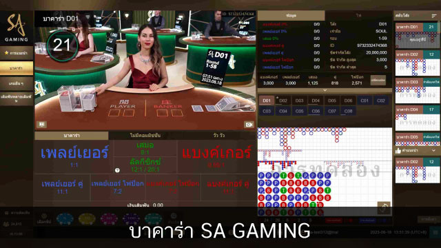 dg casino bet