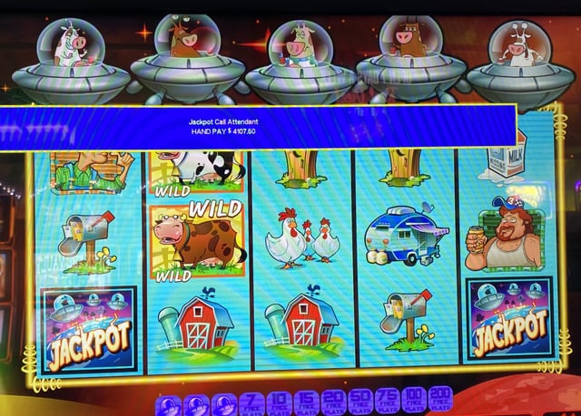 On the casino wild blood internet Sportsbook
