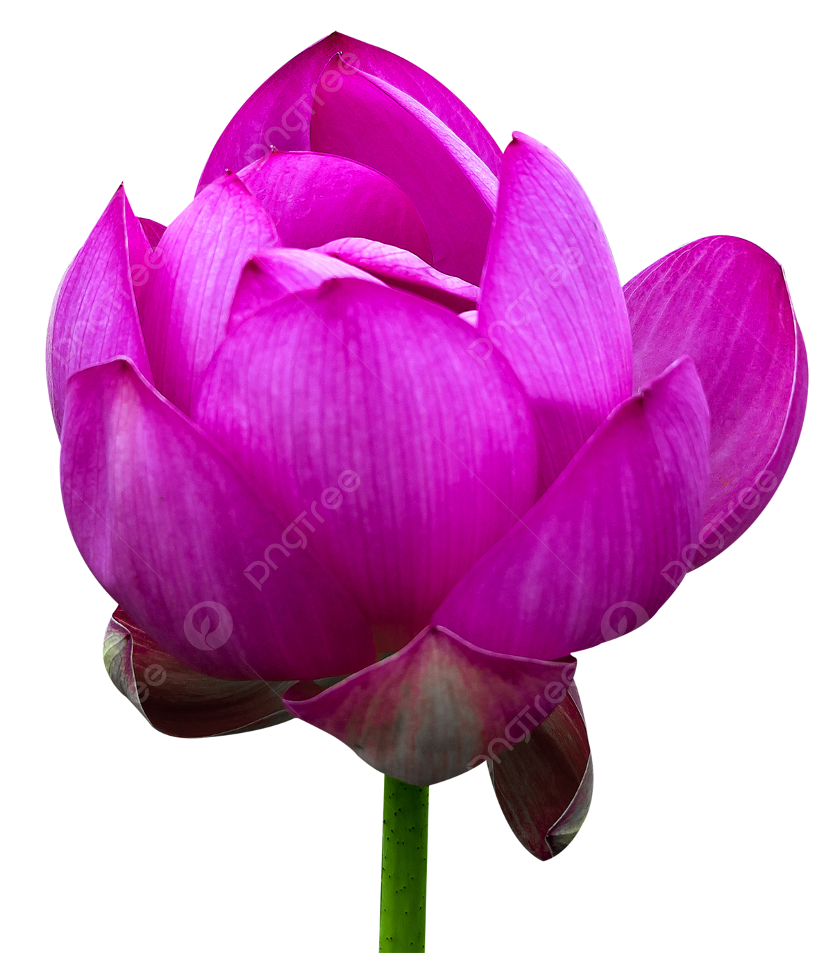 лото клуб казино