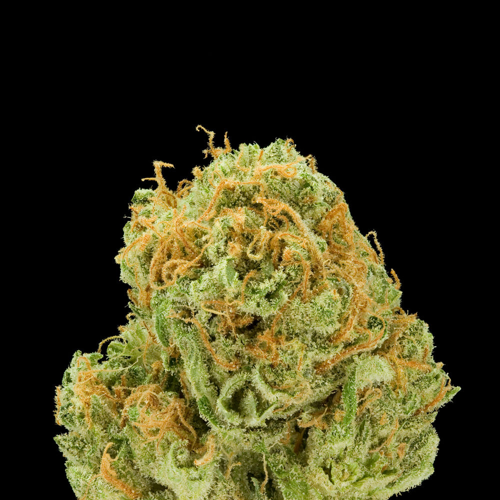 high thc uk