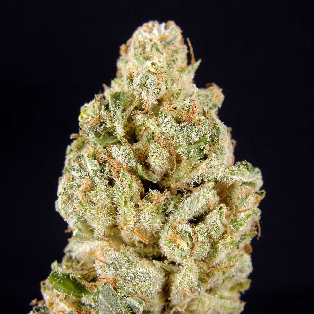 thc weed vapes uk