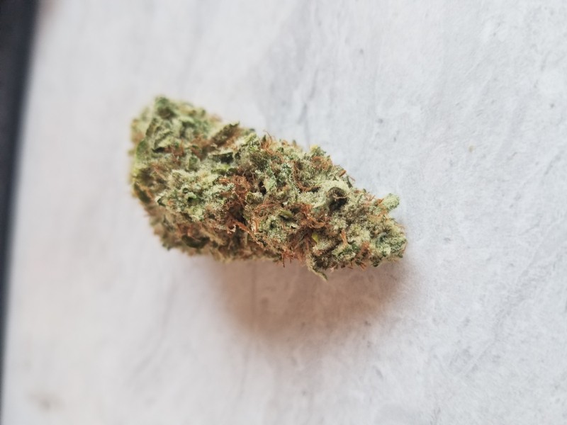 jungle boys cart