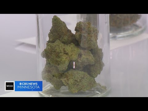 cannabis store uk