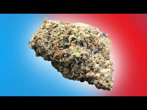 zerbert strain price