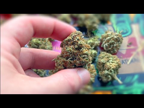 zheetos strain leafly