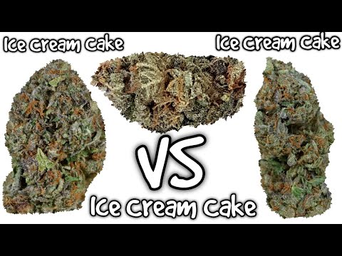 cannabis store uk