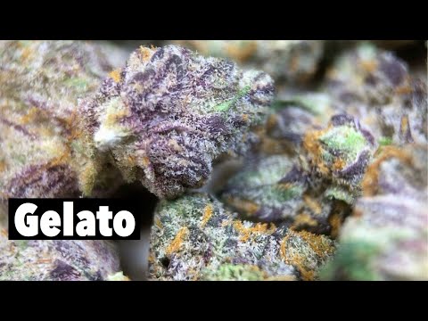 buy thc edibles