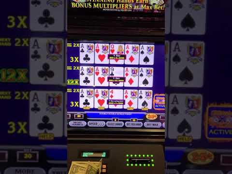 evoplay slot