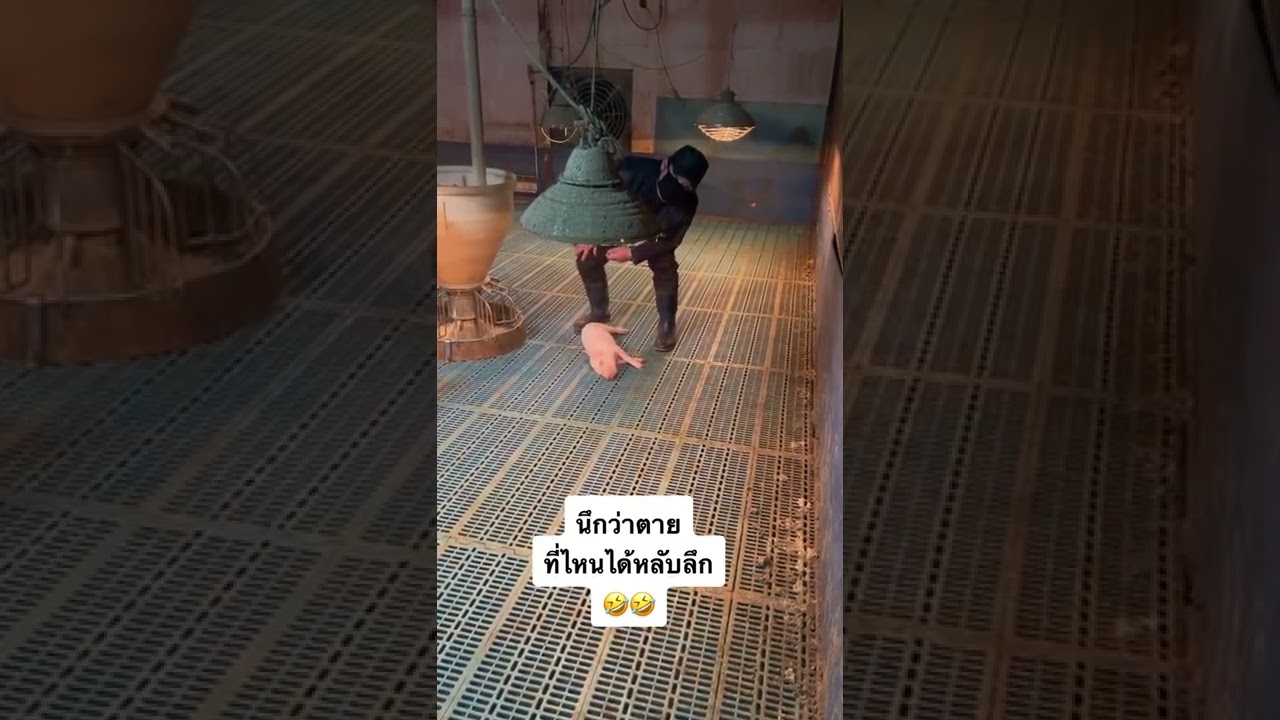 เว็บพนันออนไลน์ ฝากถอน ไม่มี ขั้นต่ำ