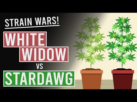 buy cannabis online uk