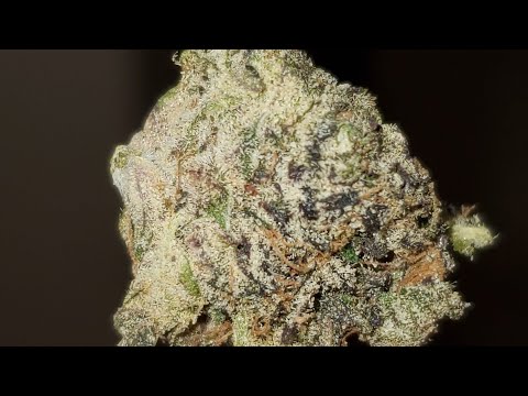 edibles weed for sale