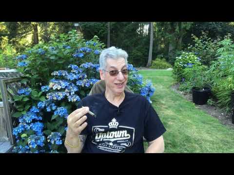 thc vape cheap
