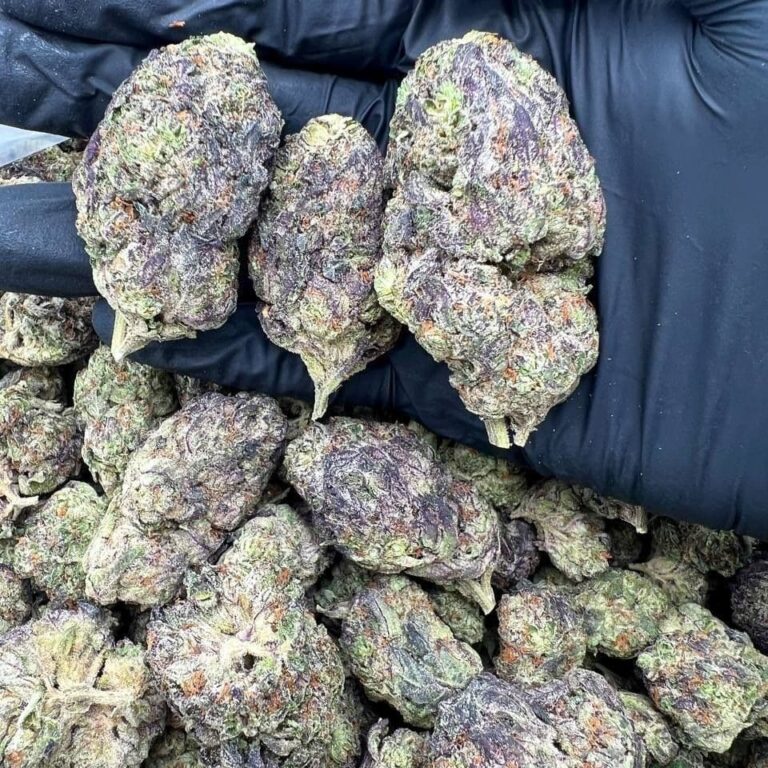 blueberry pie weed strain