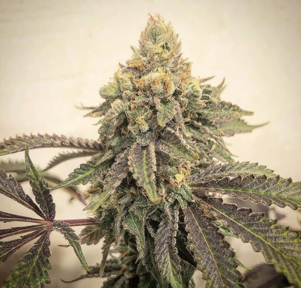 hub 420