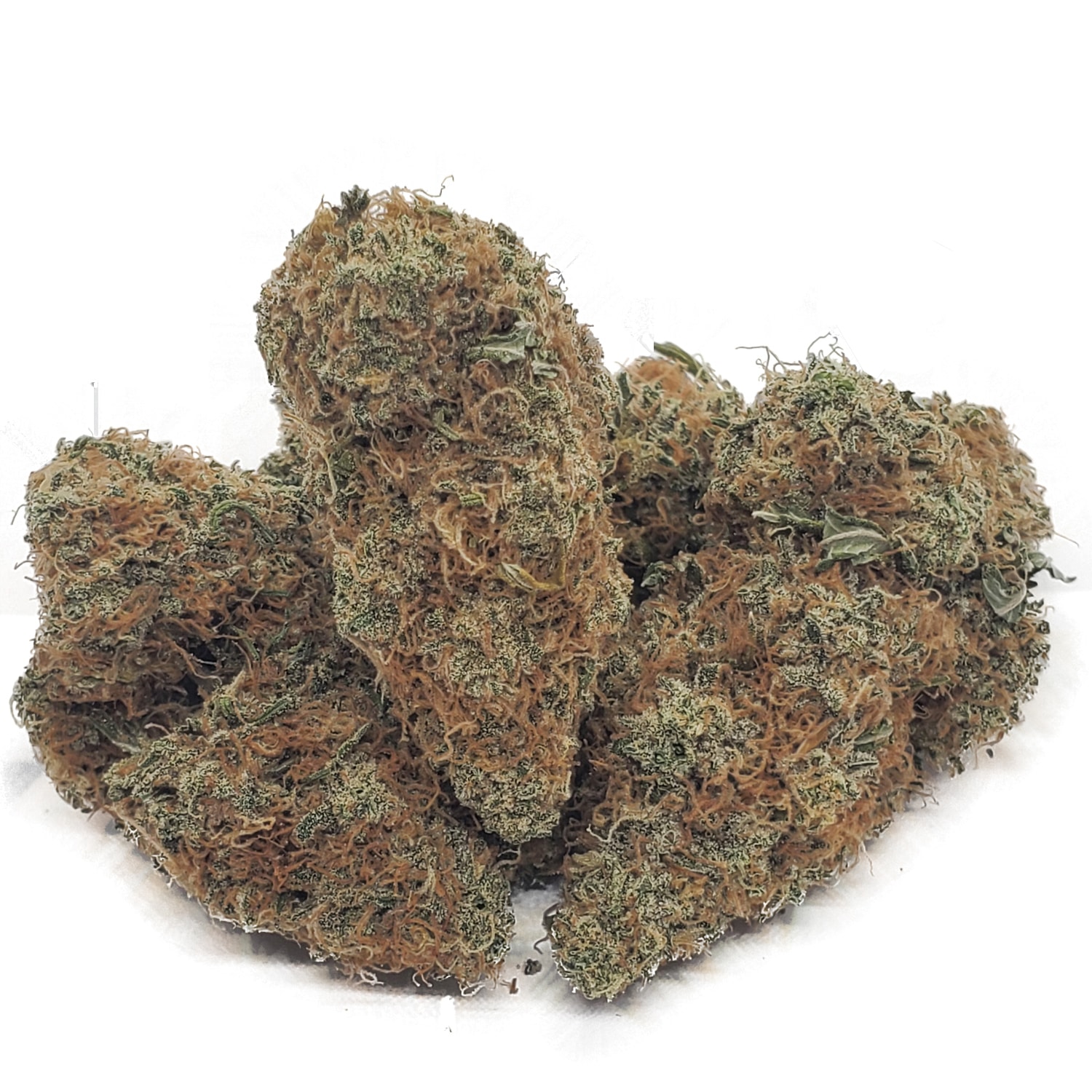 starz strain