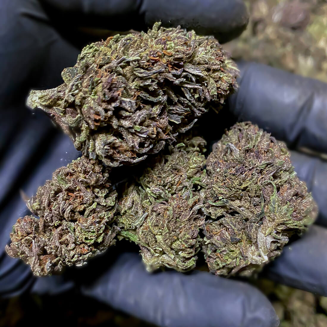 mac strain