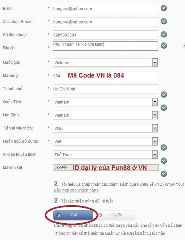 bài đánh giá về new88